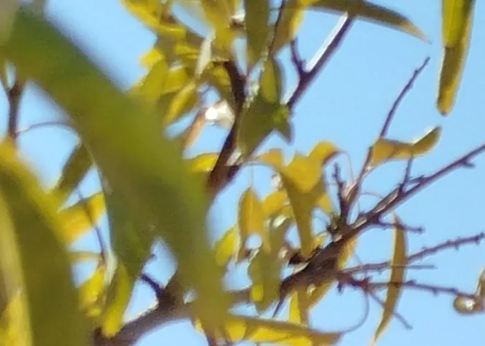 Nereids Apartments-pronoe Petalídhion