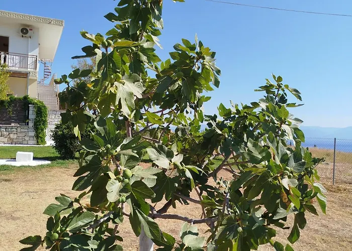 Nereids Apartments-pronoe