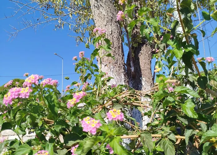 Apartment Nereids Apartments-pronoe