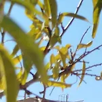Nereids Apartments-pronoe Petalídhion