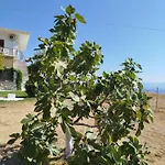 Nereids Apartments-pronoe