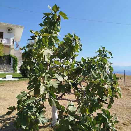 Nereids Apartments-pronoe
