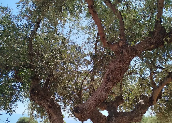 Nereids Apartments-pronoe 아파트 *